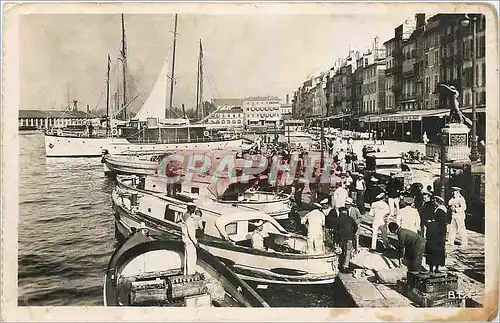 Moderne Karte Toulon Vue sur le quai Bateaux