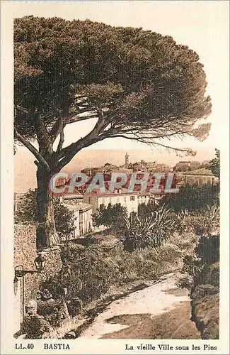 Cartes postales Bastia La vieille Ville sous les Pins