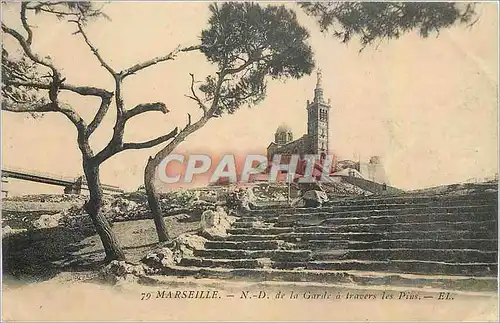 Cartes postales Marseille ND de la Garde a traver les Pins