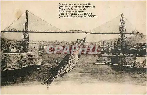 Cartes postales La chose unique sans pareille Sardine Marseille
