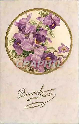 Cartes postales Bonne Annee