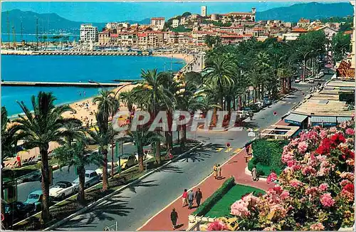 Cartes postales moderne Cannes La Croisette Le Mont Chevalier