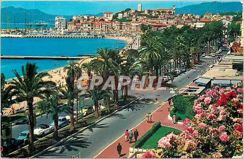 Moderne Karte Cannes La Croisette Le Mont Chevalier