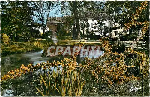 Moderne Karte Saint Gaudens Haute Garonne Piece d'eau au Jardin Public