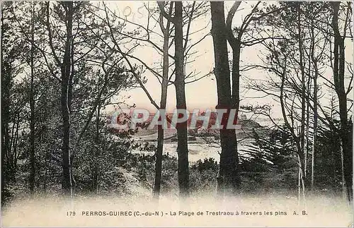 Cartes postales Perros Guirec C du N La Plage de Trestraou a travers les pins