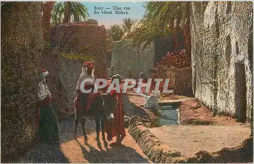 Cartes postales Une rue du vieux Biskra Ane Mule
