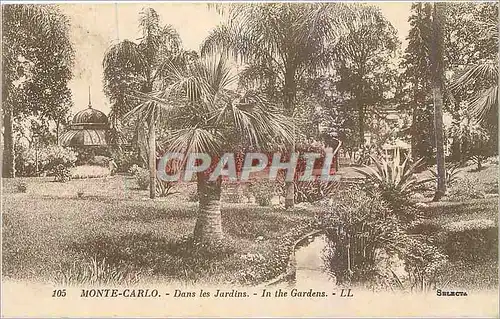 Cartes postales Monte Carlo Dans les Jardins