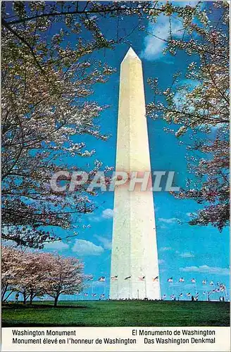 Cartes postales moderne Monument eleve en l'honneur de Washington