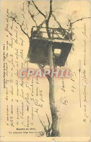 Cartes postales Guerre de 1914 Un eclaireur belge dans un arbre Militaria
