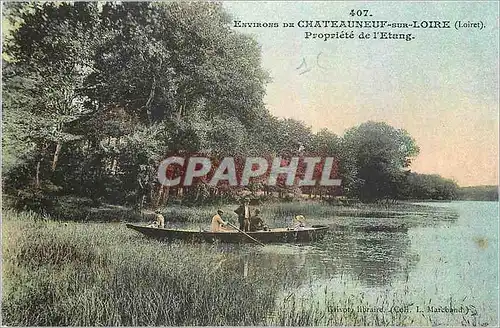 Ansichtskarte AK Environs de Chateauneuf sur loire Propriete de l'Etang