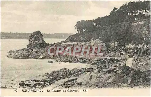 Cartes postales Ile Brehat Le Chemin du Goariva