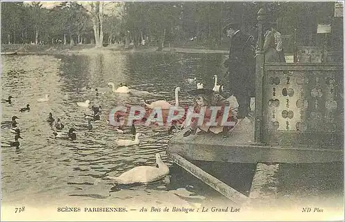 REPRO Scenes Parisiennes Au Bois de BOulogne Le Grand Lac Cygnes