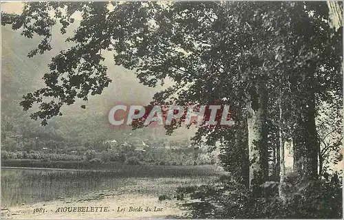 Cartes postales Aiguebelette Les Bordes du Lac