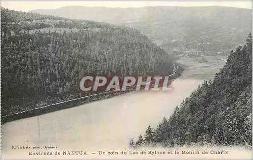 Ansichtskarte AK Environs de Nantua Un coin du Lac de Sylans et le Moulin de Charix