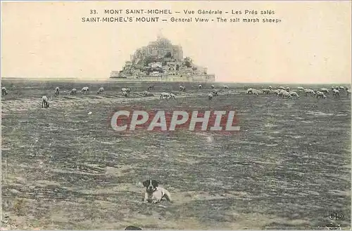 Cartes postales Mont Saint Michel Vue generale Les Pres Sales Chien Moutons