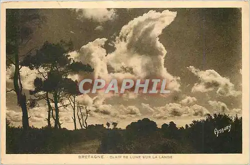 Cartes postales Bretagne Clair de Lune sur la Lande