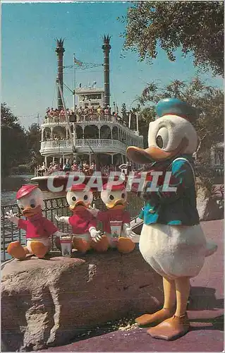 Cartes postales moderne Donald and his Nephews Walt Disney