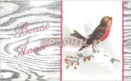 Cartes postales Bonne Annee