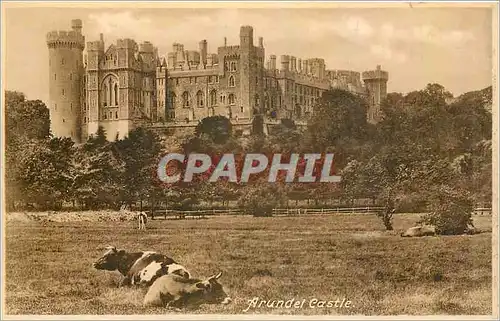 Cartes postales Arundel Castle
