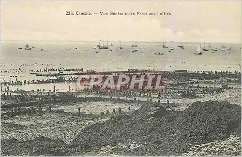 Cartes postales Cancale Vue Generale des Parcs aux huitres