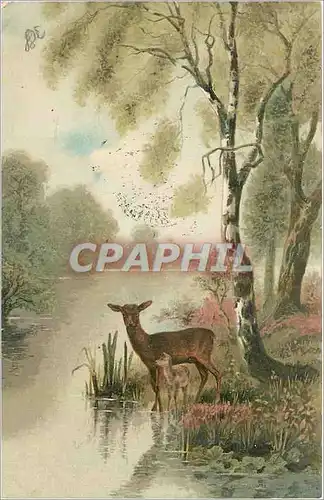 Ansichtskarte AK Biche