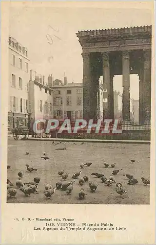 Cartes postales Vienne Place du Palais Les Pigeonde du Temple d'Auguste et de Livie