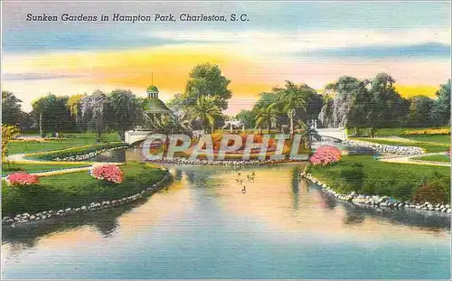Ansichtskarte AK Sunken Gardens in Hampton Park Charleston SC