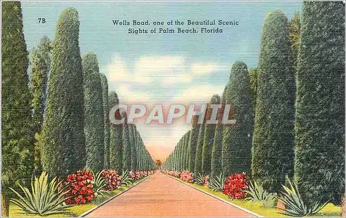 Cartes postales Wells Road one of the Beautiful Scenic Sights of Palm Beach Florida