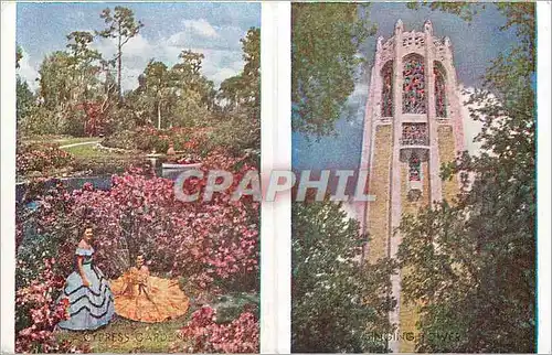 Ansichtskarte AK Cypress Gardens