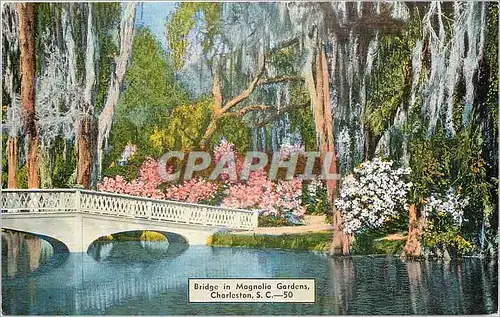 Ansichtskarte AK Bridge in Magnolia Gardens Charleston SC