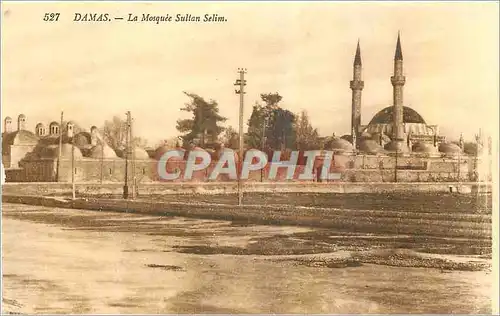 Cartes postales Damas La Mosquee Sultan Selim