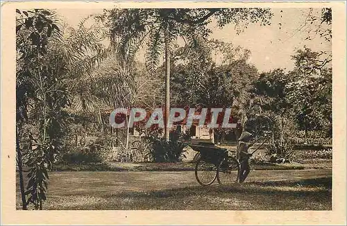 Cartes postales Saigon Un coin du Jardin Botanique