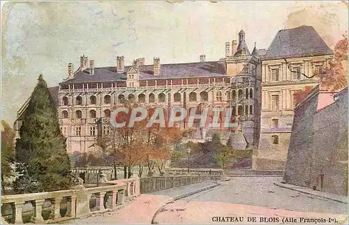 Cartes postales Chateau de Blois Aile Francois 1er