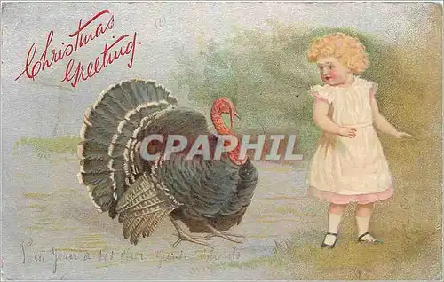 Cartes postales Christmas Greeting Dinde Turkey