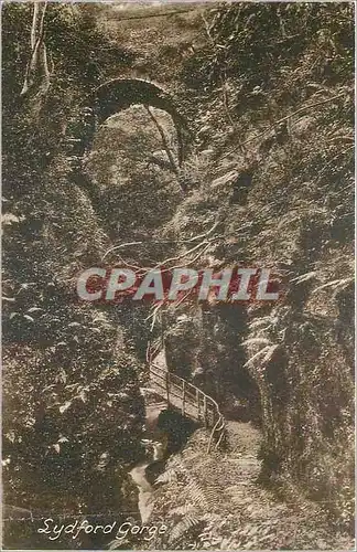 Cartes postales Lydford Gorge