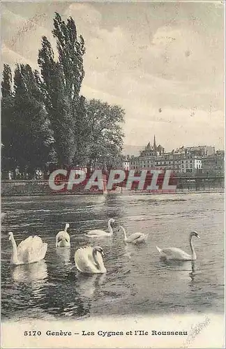 Cartes postales Geneve Les Cygnes et l'lle Rousseau