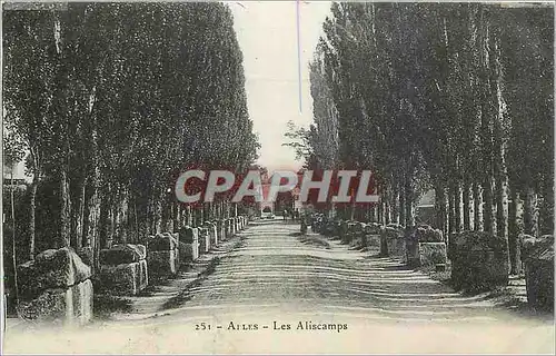 Cartes postales Arles Les Aliscamps