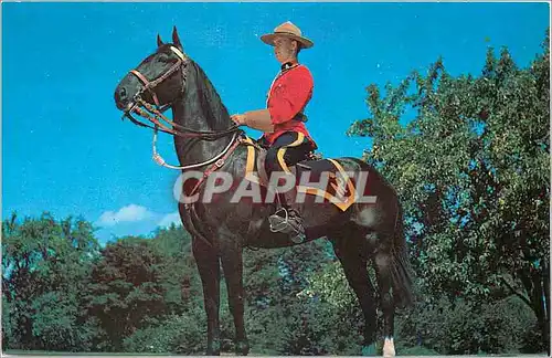 Cartes postales moderne Royal Canadian Mounted Police Militaria