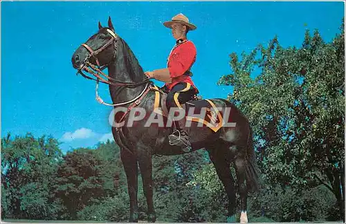 Moderne Karte Royal Canadian Mounted Police Militaria