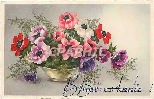 Cartes postales Bonne Annee