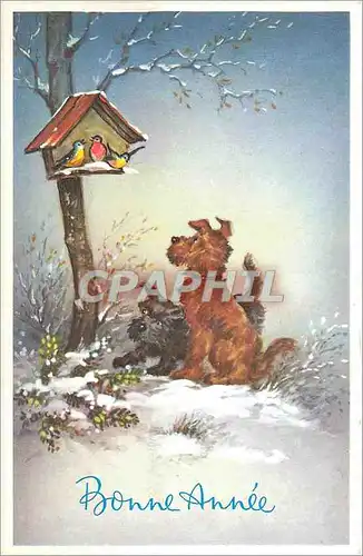 Cartes postales Bonne Annee Chien