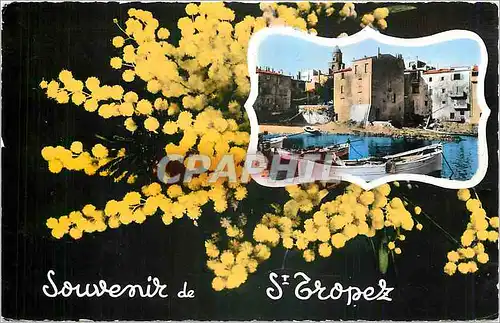 Cartes postales moderne Souvenir de St Tropez