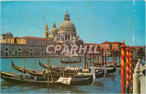 Cartes postales moderne Venezia La Salute