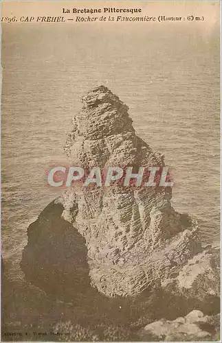 Cartes postales Cap Frehel Rocher de la Fauconniere