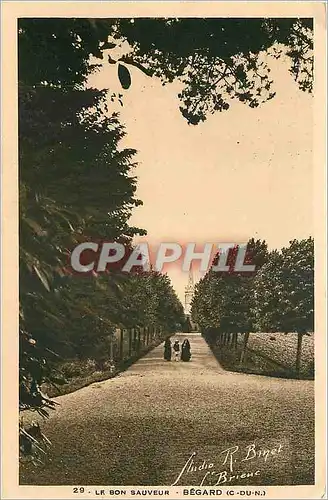 Cartes postales Le Bon Sauveur Begard C du N