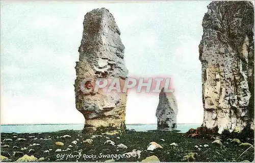 Ansichtskarte AK Old Harry Rocks Swanage