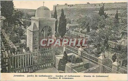 Ansichtskarte AK Jerusalem Jardn de Gethsemanie