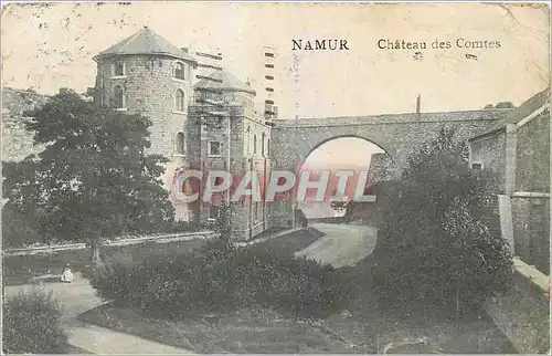 Cartes postales Namur Chateau des Comtes