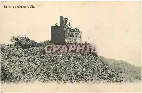 Cartes postales Ruine Spesburg