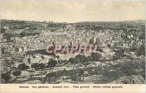 Cartes postales Hebron Vue generale